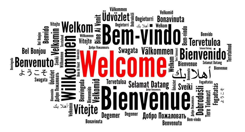 Grammar Challenges in Multilingual Communication