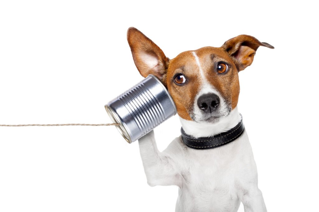 Communication Style